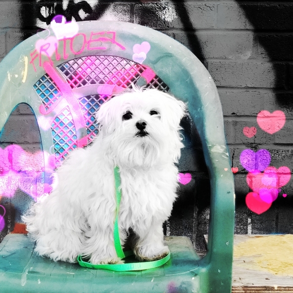 We Love Offers❤️😁 - Picture 3 of 10